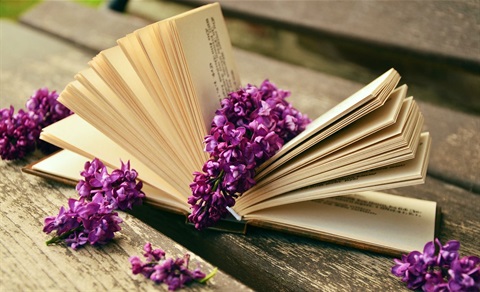 an image of an open book of poetry with wisteria draped over and around it on a wooden table